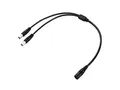 conecto Niedervolt Y-Kabel (DC-Hohlbuchse auf 2X Hohlstecker), 5,5x2,1mm, 40 cm, schwarz