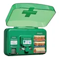 CEDERROTH 51011006 Pflasterspender Plus B306xH155xT155ca. mm grün,transparent