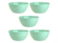 Engelland Müslischüssel Plastikschale, 900 ml, PP-Kunststoff (BPA-frei), (Vorteils-Set, 5-tlg), spülmaschinengeeignet, mikrowellengeeignet, Ø 16 cm, BPA-frei