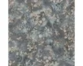 Vliestapete 10415-08 Play of light Blumen blau beige