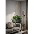 finestgreen Blumenampel Hanging Eileen, Frostfest & UV-beständig – für Innen- und Außenbereich schwarz Ø 29.0 cm x 11.0 cm