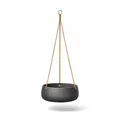 Finestgreen Hängende Pflanzschale Eileen Schwarz | Hängende Pflanzschale zum bepflanzen | Urban Gardening Pflanzenampel Betonoptik (M Ø:29 H:11 cm) Pottery Pots