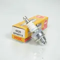 ngk zündkerze für roller malaguti 50 dvd 4t 2010 bis 2012 neu
