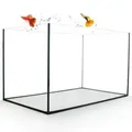 Aquarium Becken rechteckig standard Größen Glas Aquariumbecken Garnelenaquarium Mini Aquarium Salzwasseraquarium Nanobecken 50x30x30