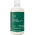 Paul Mitchell Tea Tree Lavender Mint Shampoo 300 ml