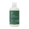 Lavender Mint Moisturizing Shampoo