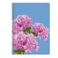 Ringbuch A4 Azalee