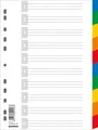 DONAU Register / Trennblätter aus Buntem stabilem Öko PP DIN A4 225x297mm, 11-fach gelocht, für die Ordner-Organisation im Büro, 7710095PL-99