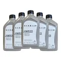 VW LongLife IV FE 0W-20 - 5 Liter (5x 1L)  | Original OEM - VW 508.00 / 509.00