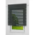 Rollo Kassette Anthrazit, LYSEL®, blickdicht, HxB 175x80cm grau 80 cm x 175 cm