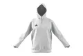 adidas Performance Kapuzenpullover adidas Herren Kapuzenpullover Entrada 22 Sweat Hoody