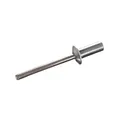 GOEBEL 250 Becher-Blindnieten Alu / Edelstahl A2 (V2A) 4,8 x 11,0 mm Flachkopf