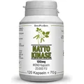 Nattokinase 100 mg Mono 20.000 FU Kapseln 120 St