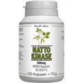 NATTOKINASE 100 mg Mono 20.000 FU Kapseln, 120 St PZN 13894128