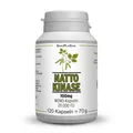 NATTOKINASE 100 mg Mono 20.000 FU Kapseln 120 St