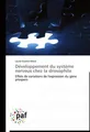 Développement du système nerveux chez la drosophile Laure Guenin-Macé