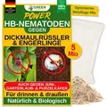 POWER HB-Nematoden gegen Dickmaulrüssler & Engerlinge, 5 Mio.(10m2), effektiv Engerlinge bekämpfen & Dickmaulrüssler bekämpfen,100% , GREEN GU...
