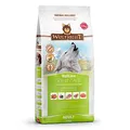 WOLFSBLUT – VetLine Joint Care | Diät Trockenfutter für ausgewachsene Hunde mit Gelenkerkrankungen. Getreidefreies Alleinfutter im Beutel | 12kg Truthahn mit Süßkartoffeln