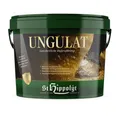 St. Hippolyt Ungulat