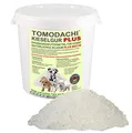 Futterzusatz Hund BARF Ergänzung natürliche Kieselerde Plus Biotin Ergänzungsfuttermittel reich an Silizium Biotin Calzium Mineralien Kieselsäure für eine ausgewogene Ernährung des Hundes 2L Eimer