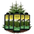 5x 1L Langzeit Koniferendünger organisch I Organischer Flüssig Dünger Koniferen 5 Liter für Thuja Occidentalis Kiefern Fichten Tannen Lärchen Dou