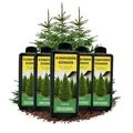 5x 1L Langzeit Koniferendünger organisch I Organischer Flüssig Dünger Koniferen 5 Liter für Thuja Occidentalis Kiefern Fichten Tannen Lärchen Douglasien Zedern Eibe Flüssigdünger 5000ml Thujendünger