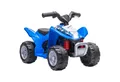 AIYAPLAY Elektro-Kinderquad mit Hilfsrad, Aktivierungsschlüssel, Belastbarkeit 25 kg, (1-tlg), mit LED-Scheinwerfer, Blau