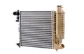 RIDEX 470R0204 Motorkühler/Wasserkühler Kompatibel mit PEUGEOT 306 Schrägheck 7A, 7C, N3, N5 1301J8 1301J9 1301TG