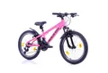 BERLIN BIKE Kinderfahrrad 20 Zoll MTB1 Kid, leichtes Aluminiumrahmen für Mädchen und Jungen, 21 Gang Shimano FD-TZ500/RD-TY200D Schaltwerk, Kettenschaltung, Ideales Geschenk für Kinder