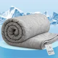 Pasper Kühldecke 130 x 170 cm einzelne Decke- sommerdecke selbstkühlend - Q-max < 0.43 - Kuscheldecke Grau - dünne Decke - für Menschen, Kinder, Babys und Haustiere
