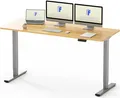 FLEXISPOT EF1 160x80cm Elektrisch Höhenverstellbarer Schreibtisch Schnelle Montage Memory Handsteuerung Sitz-Stehpult für BüroAhorn + graue Beine