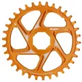 HOPE Kettenblatt E-Bike Direct Mount Spiderless R22 Narrow Wide für B