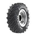 Sommerreifen Ascenso 600/65 R38 159D TDR650