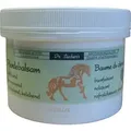 300ml Pferdebalsam von Dr. Sachers
