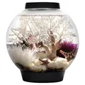 OASE biOrb CLASSIC 15 LED schwarz