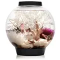 biOrb® Aquarium CLASSIC 15 LED, Schwarz