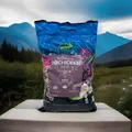 Westland Torffreie Orchideen Erde Mit Seramis Granulat 8 Liter Orchidee Pflege🌸