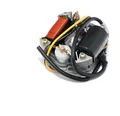 Lichtmaschine / Zündung 6V 15W für Maxi Mofa