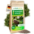 Purgrün Koniferendünger, NPK 8+4+5, Magnesium für grüne Nadeln, 1 kg