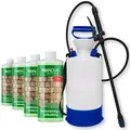 ABACUS® Steinreiniger Set, selbsttätiger Algenentferner & Flechtenentferner, 40% Wirkstoff, gegen Flechten & Algen auf Pflastersteinen – Steinreiniger 4x 1000 ml inkl. Drucksprüher (7817.4)