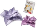 Betty Bossi Ravioliform »Dumpling Maker«, (2-tlg), mit Rezeptheft ideale Ravioli Maker für Hobby- und Profiköche