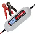 Dino Kraftpaket Batterieladegerät 6V/12V-4A Erhaltungsladerät mit Batterietester