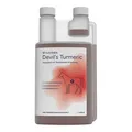 Devil`s Turmeric flüssig für Pferde · 1 l · PZN 17835163