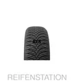 4x Ganzjahresreifen GOODRIDE Z401 205/55 R16 91V