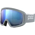 POC Opsin Skibrille (Größe ONE SIZE, grau)