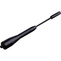 Foliatec Antenne (B001CCAF5A)
