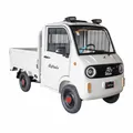 Elektro Lasten-Vierrad Pickup Mini LKW Pritsche 40Kmh 1,5 kW 72V 58Ah 80km Weiß
