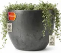 Keramik Blumentopf Eggpot Anthrazit Ø 21cm - Frostfest Pflanzkübel Grau Rund