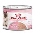 Royal Canin Mother & Babycat Mousse -  12 x 195 g
