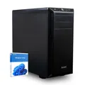dcl24 AMD Office Business PC Ryzen 7 5800X, RTX3050 6GB - 2000GB SSD, 32GB DDR4, schneller PC mit 8x4.7 GHz, WLAN, Windows 11 Pro Desktop PC für Büro und Homeoffice [19807]